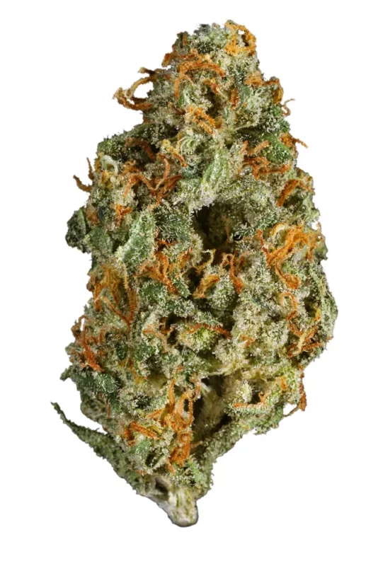 Marijuana strains in Europe