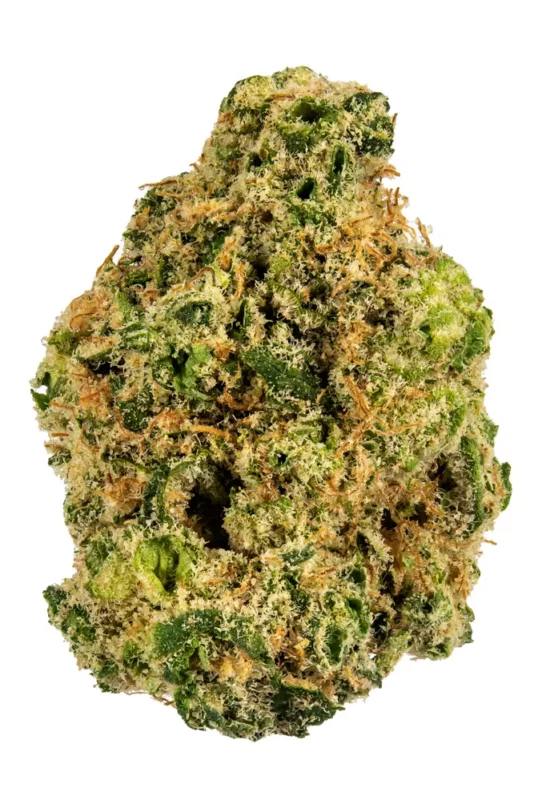 Buy Girl Scout Cookies Marijuana Strain in Europe